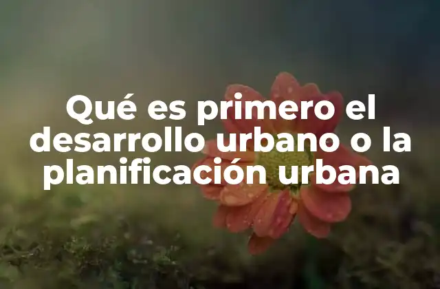 Qué es Primero el Desarrollo Urbano o la Planificación Urbana
