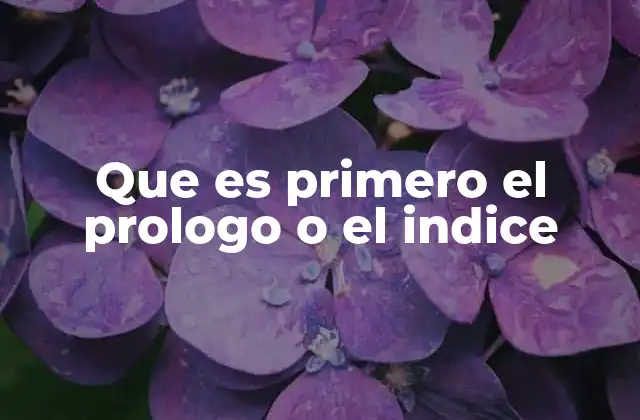 Que es Primero el Prologo o el Indice
