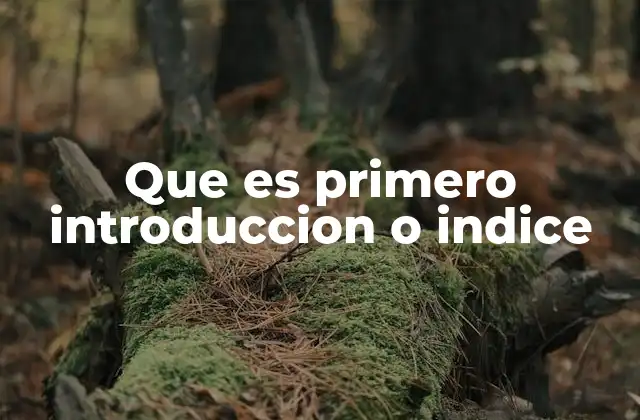 Que es Primero Introduccion o Indice