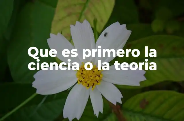 Que es Primero la Ciencia o la Teoria