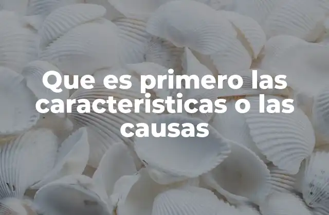 Que es Primero las Caracteristicas o las Causas