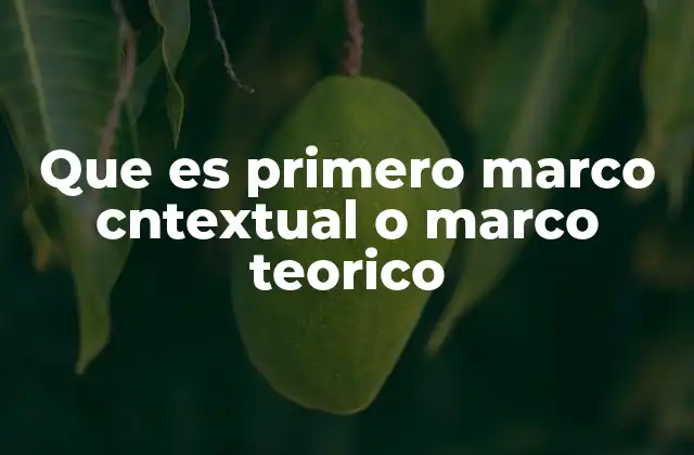Que es Primero Marco Cntextual o Marco Teorico
