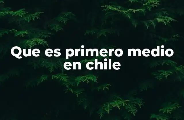 Que es Primero Medio en Chile
