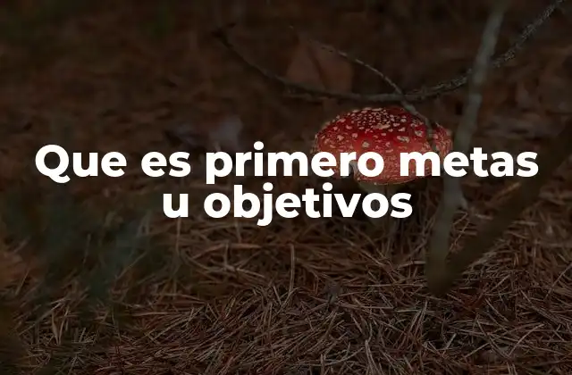 Que es Primero Metas u Objetivos 2 La importancia de tener una visión clara antes de actuar