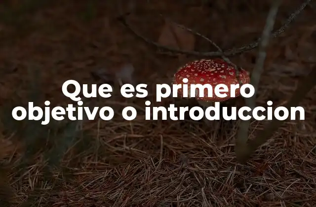 Que es Primero Objetivo o Introduccion