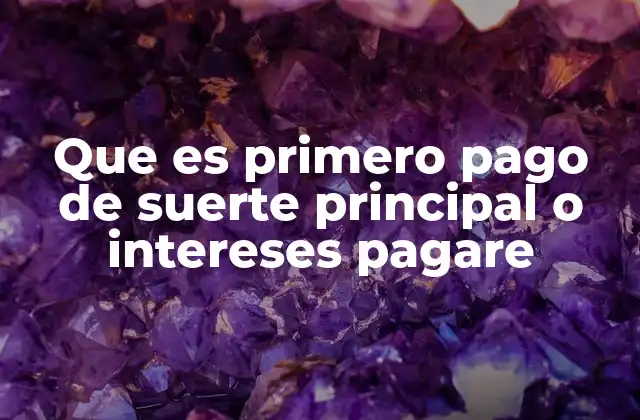 Que es Primero Pago de Suerte Principal o Intereses Pagare