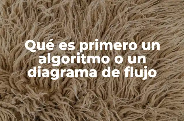 Qué es Primero un Algoritmo o un Diagrama de Flujo