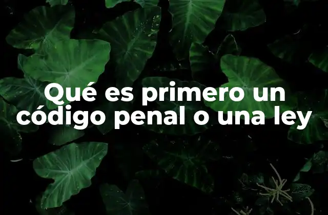 Qué es Primero un Código Penal o una Ley 2 El proceso de codificación en el derecho penal