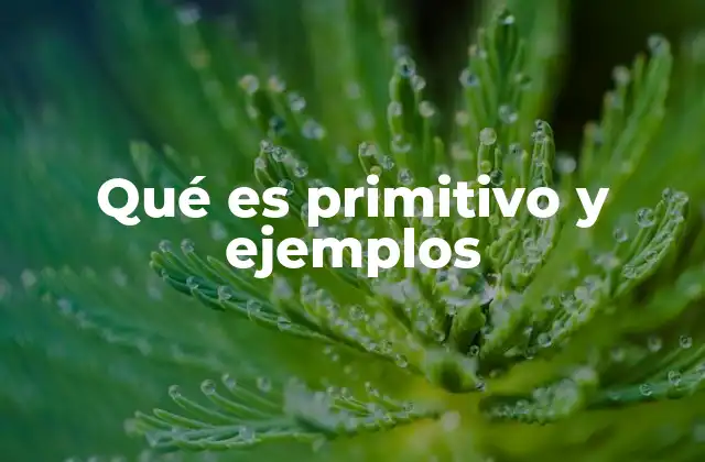 Qué es Primitivo y Ejemplos