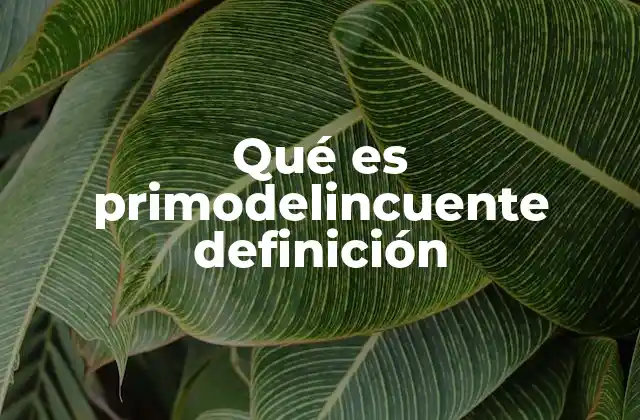 El concepto de primodelincuente y su relevancia en el sistema legal