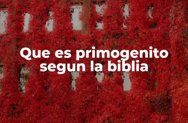 Que es Primogenito Segun la Biblia 2 El rol del primogénito en la estructura familiar bíblica