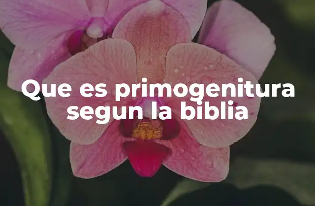Que es Primogenitura Segun la Biblia