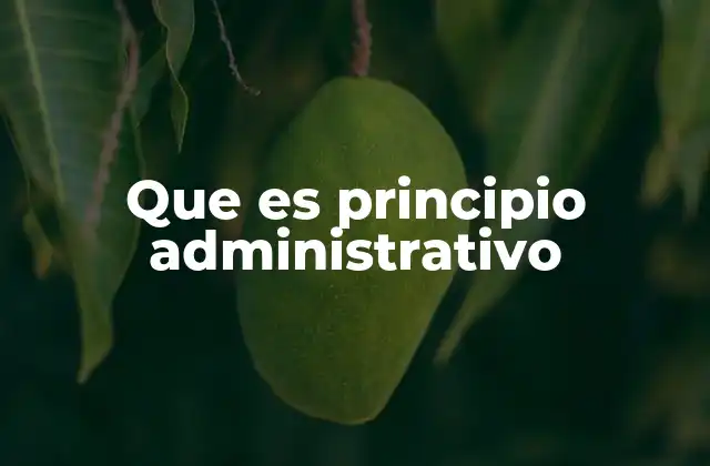Que es Principio Administrativo 2 La importancia de los principios en la función pública