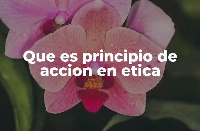 Que es Principio de Accion en Etica