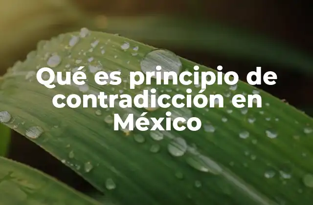 Qué es Principio de Contradicción en México