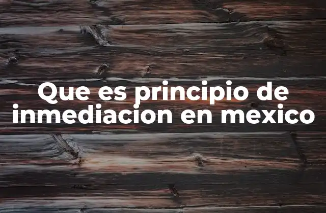 Que es Principio de Inmediacion en Mexico