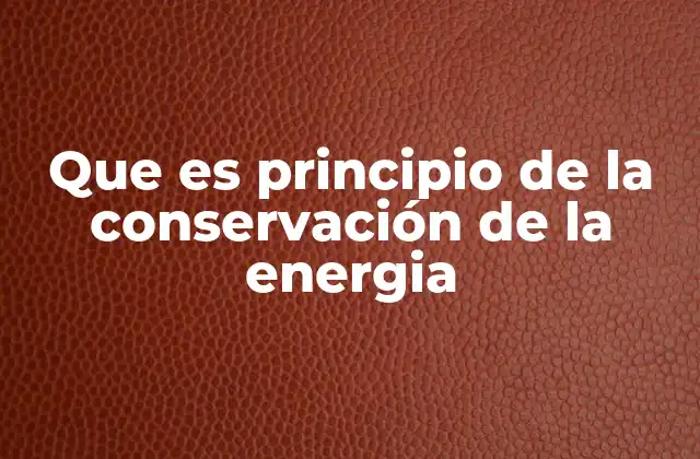 Que es Principio de la Conservación de la Energia