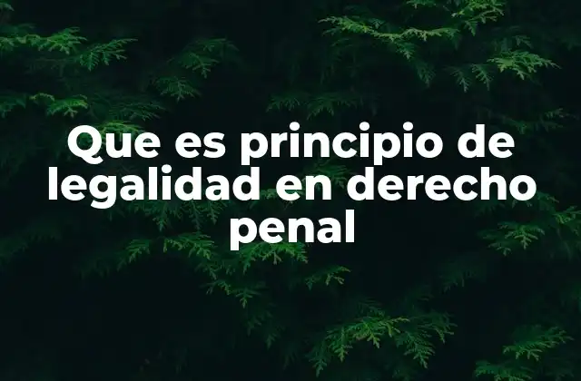 Que es Principio de Legalidad en Derecho Penal