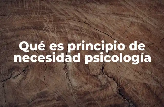 Qué es Principio de Necesidad Psicología