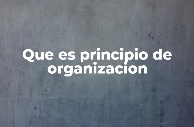 Que es Principio de Organizacion