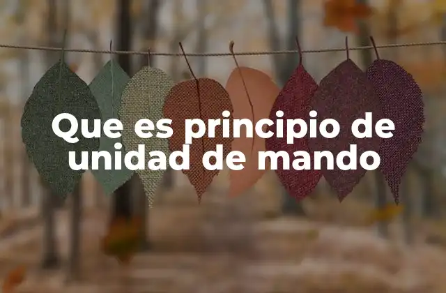Que es Principio de Unidad de Mando
