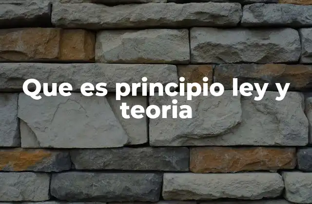 Que es Principio Ley y Teoria