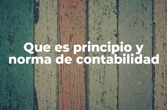 Que es Principio y Norma de Contabilidad
