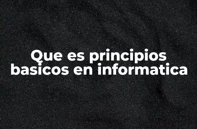 Que es Principios Basicos en Informatica