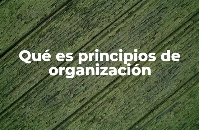 Qué es Principios de Organización