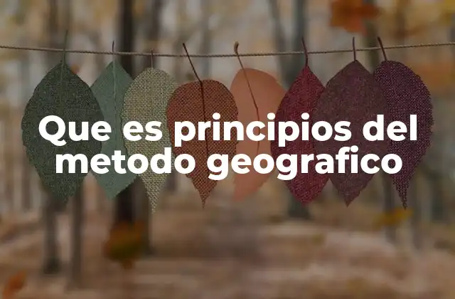 La importancia del enfoque geográfico en el estudio del entorno