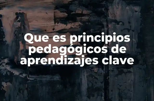 Que es Principios Pedagógicos de Aprendizajes Clave