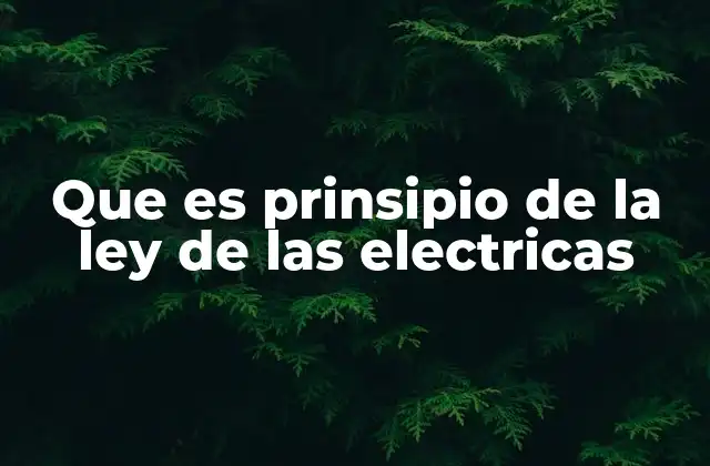 Que es Prinsipio de la Ley de las Electricas