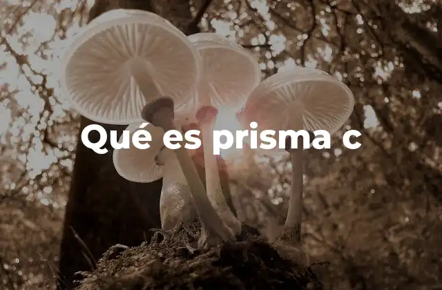 Qué es Prisma C