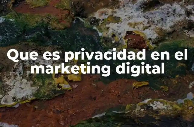 Que es Privacidad en el Marketing Digital