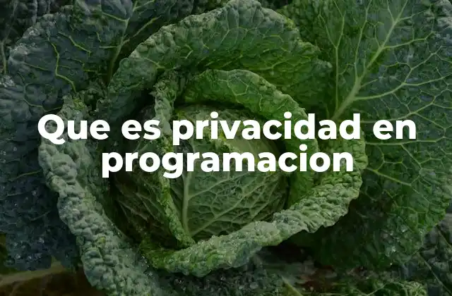 Que es Privacidad en Programacion