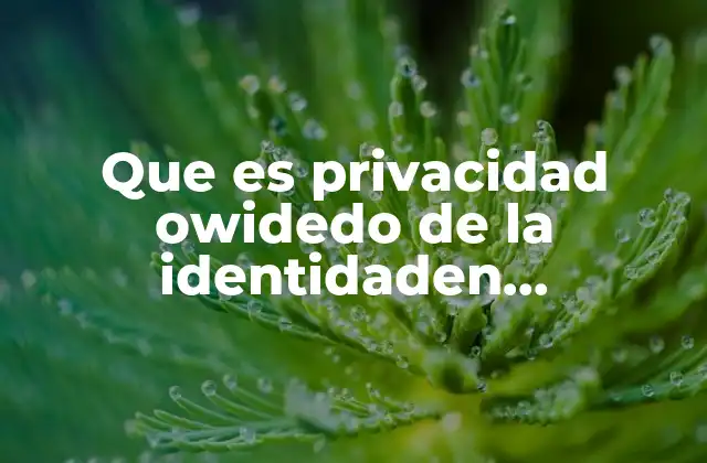 Que es Privacidad Owidedo de la Identidaden Informatica