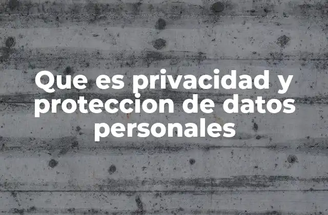 Que es Privacidad y Proteccion de Datos Personales