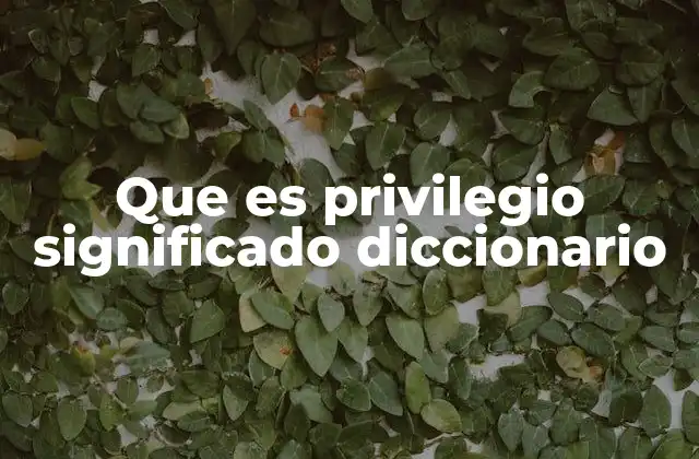 Que es Privilegio Significado Diccionario