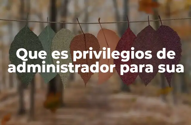 Que es Privilegios de Administrador para Sua