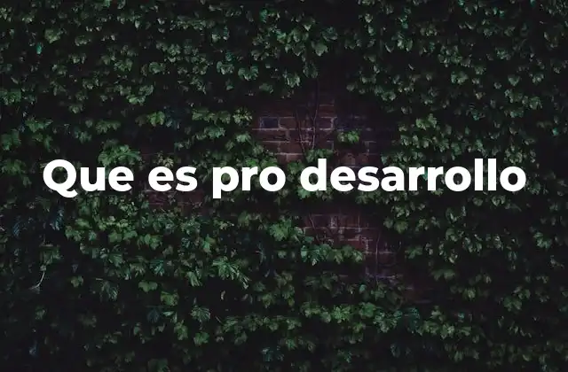 Que es Pro Desarrollo