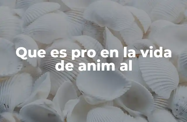 Que es Pro en la Vida de Anim Al