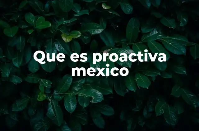 Que es Proactiva Mexico