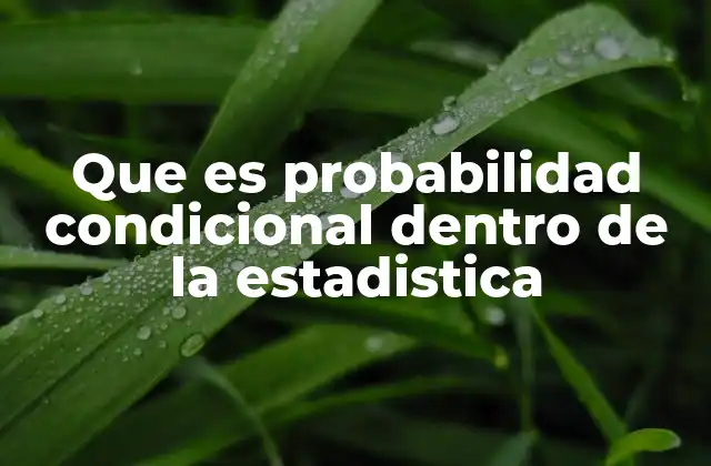 La importancia de la probabilidad condicional en modelos estadísticos