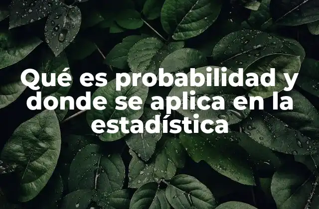 Qué es Probabilidad y Donde Se Aplica en la Estadística