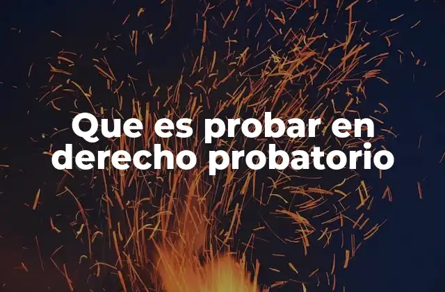Que es Probar en Derecho Probatorio