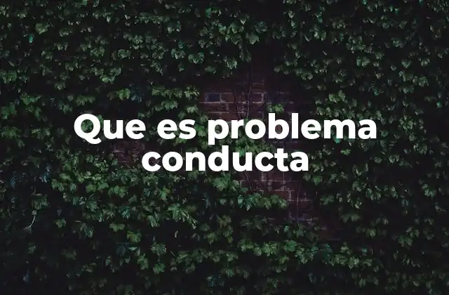 Que es Problema Conducta