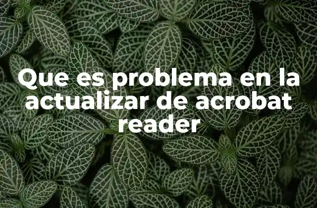 Que es Problema en la Actualizar de Acrobat Reader