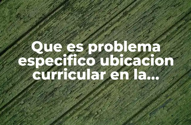 Que es Problema Especifico Ubicacion Curricular en la Practica Docente
