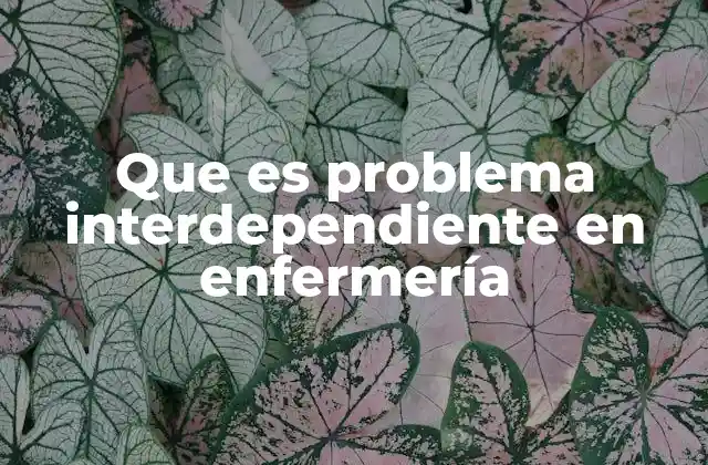 Que es Problema Interdependiente en Enfermería