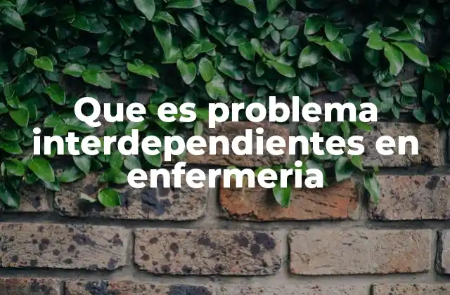 Que es Problema Interdependientes en Enfermeria